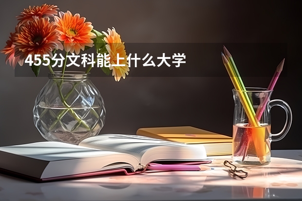 455分文科能上什么大学
