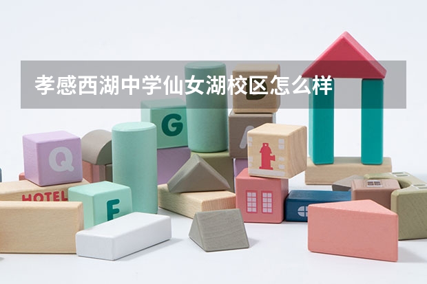 孝感西湖中学仙女湖校区怎么样