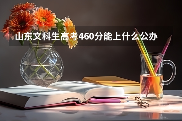 山东文科生高考460分能上什么公办学?