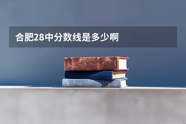 合肥28中分数线是多少啊