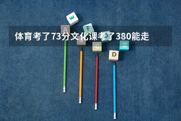 体育考了73分文化课考了380能走什么大学?