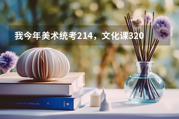 我今年美术统考214，文化课320，想选好点的专科，中州大学，河南商专，哪个好点？