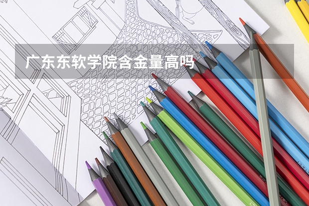 广东东软学院含金量高吗