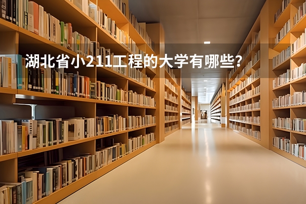 湖北省小211工程的大学有哪些？