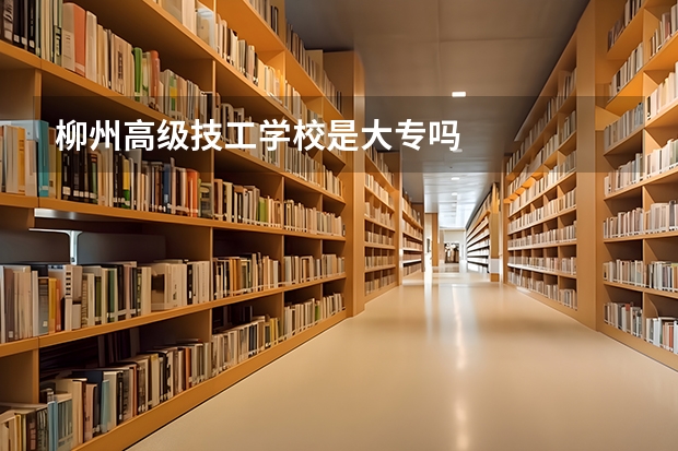 柳州高级技工学校是大专吗
