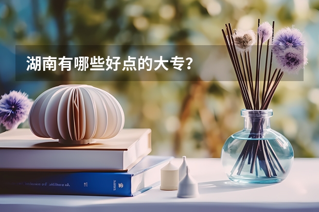 湖南有哪些好点的大专？