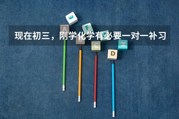 现在初三，刚学化学有必要一对一补习吗？