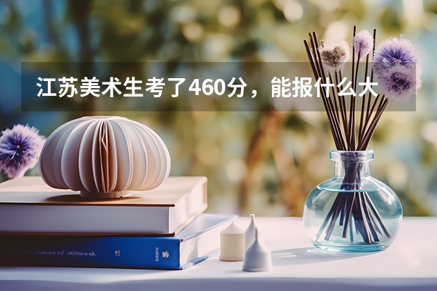 江苏美术生考了460分，能报什么大学。