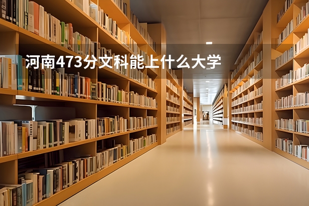 河南473分文科能上什么大学