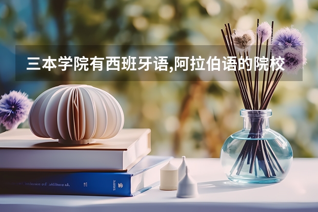 三本学院有西班牙语,阿拉伯语的院校有哪些