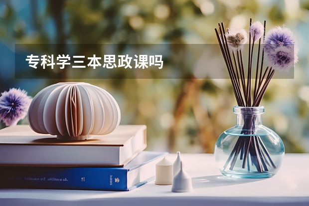 专科学三本思政课吗