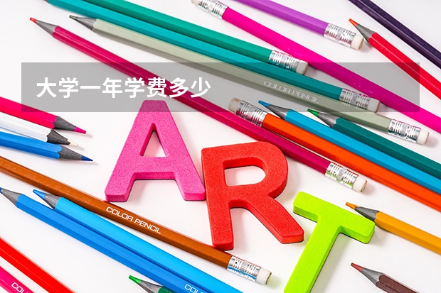 大学一年学费多少