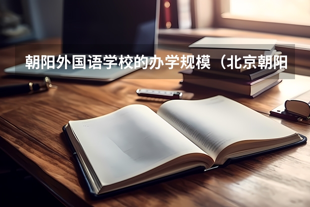 朝阳外国语学校的办学规模（北京朝阳区小学排名）
