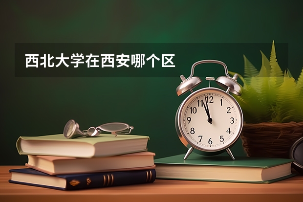 西北大学在西安哪个区
