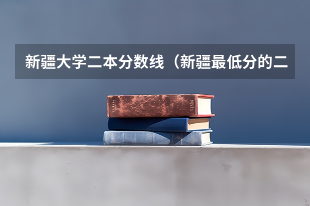 新疆大学二本分数线（新疆最低分的二本大学）