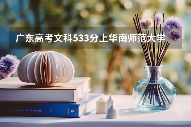 广东高考文科533分上华南师范大学3A的机会大吗？