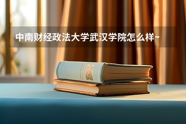 中南财经政法大学武汉学院怎么样~