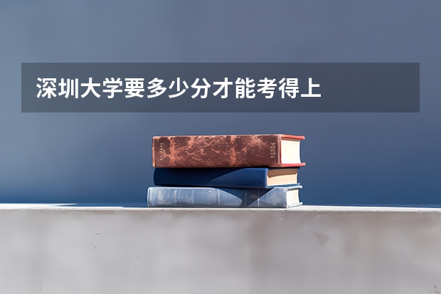 深圳大学要多少分才能考得上