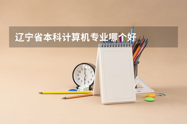 辽宁省本科计算机专业哪个好