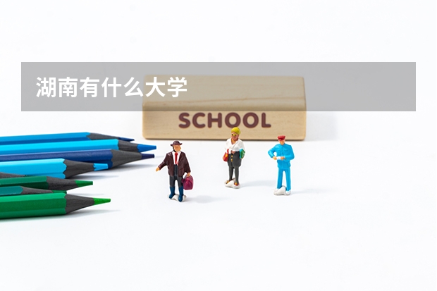湖南有什么大学