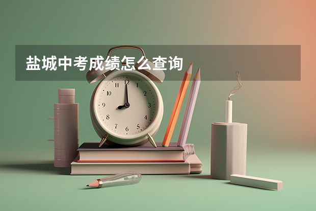 盐城中考成绩怎么查询