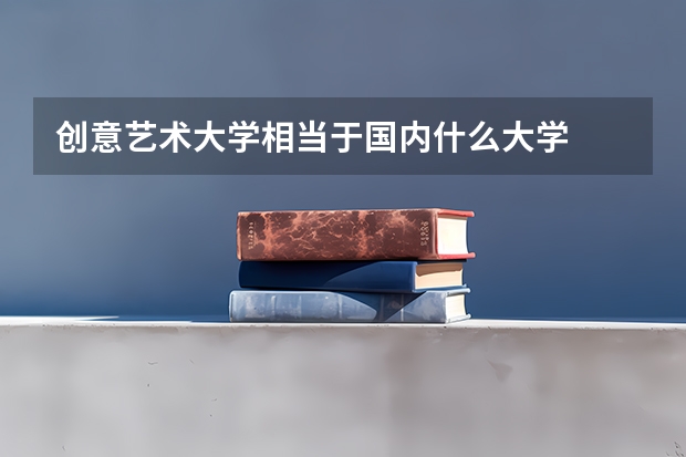 创意艺术大学相当于国内什么大学