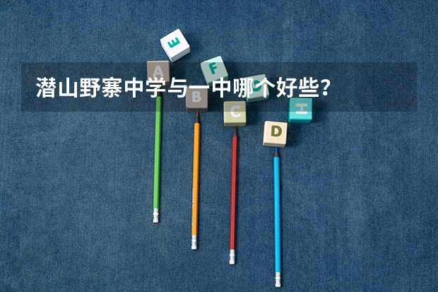 潜山野寨中学与一中哪个好些？