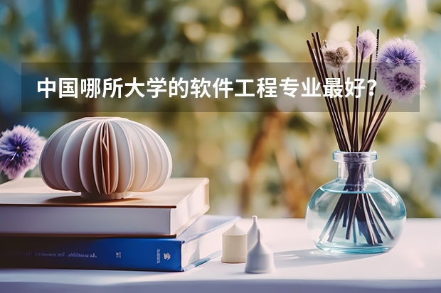 中国哪所大学的软件工程专业最好？ 软件工程大学排名