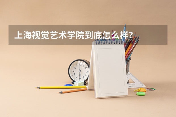 上海视觉艺术学院到底怎么样？