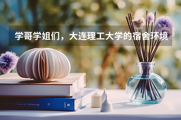 学哥学姐们，大连理工大学的宿舍环境怎么样