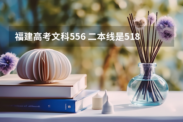 福建高考文科556 二本线是518 一本线是582…能去厦门理工么？西安政法大学？鲁东大学？ 二类大学分数线