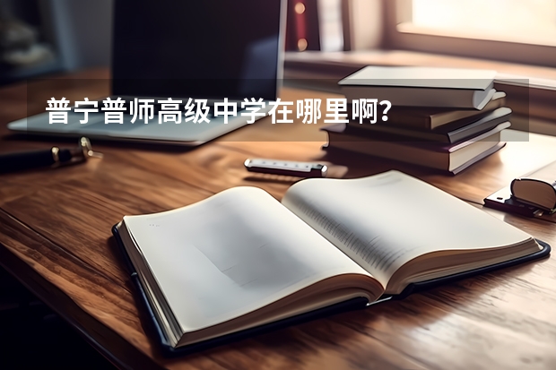 普宁普师高级中学在哪里啊？