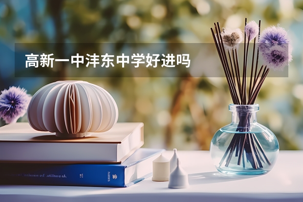 高新一中沣东中学好进吗