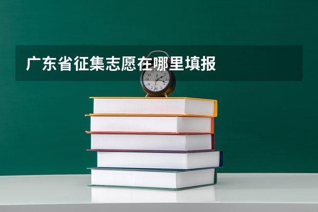 广东省征集志愿在哪里填报