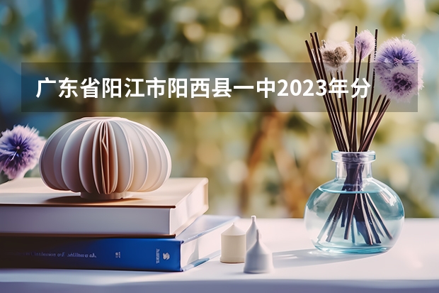 广东省阳江市阳西县一中2023年分数线预测多少分总分1000正取？