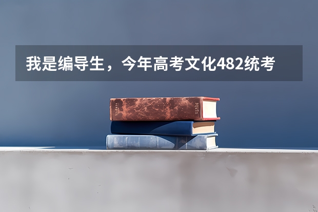 我是编导生，今年高考文化482统考专业202，想问一下如何填征集志愿录取几率才能更大