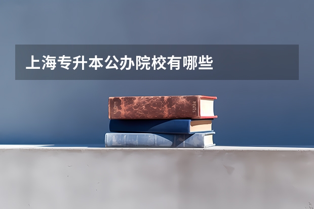 上海专升本公办院校有哪些