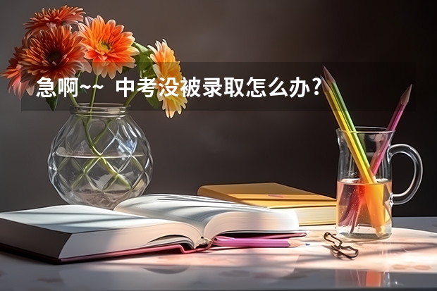 急啊~~  中考没被录取怎么办?   热心 善良 博学的速回 谢谢!!!
