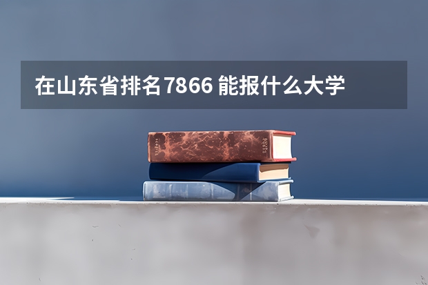 在山东省排名7866 能报什么大学
