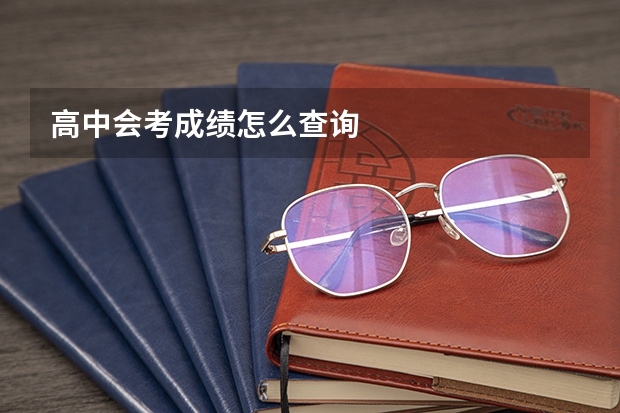 高中会考成绩怎么查询