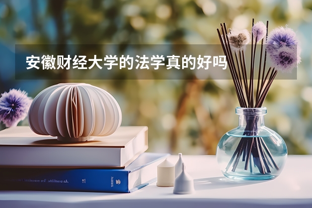 安徽财经大学的法学真的好吗