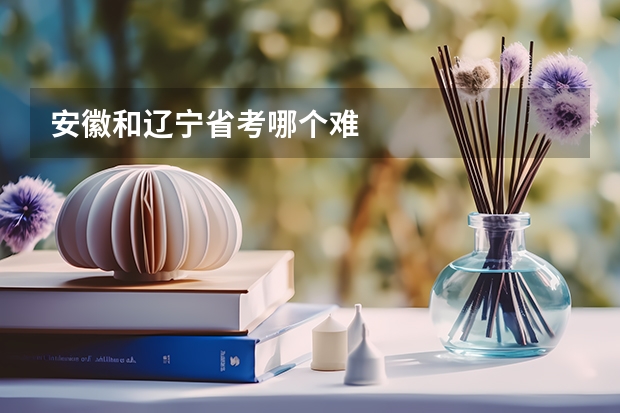 安徽和辽宁省考哪个难