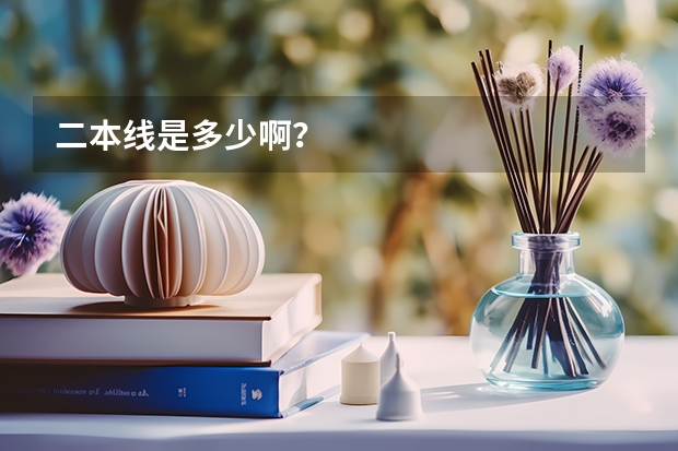 二本线是多少啊？