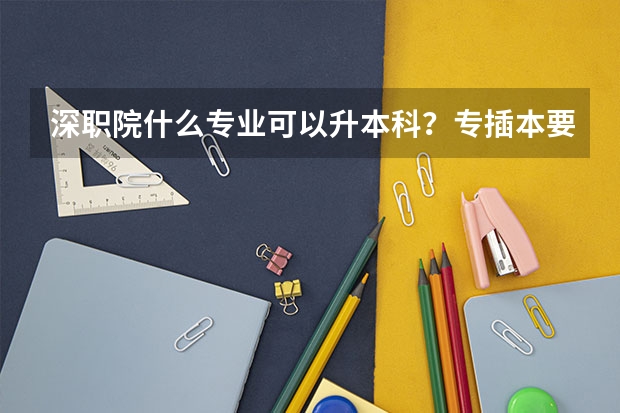 深职院什么专业可以升本科？专插本要点读？