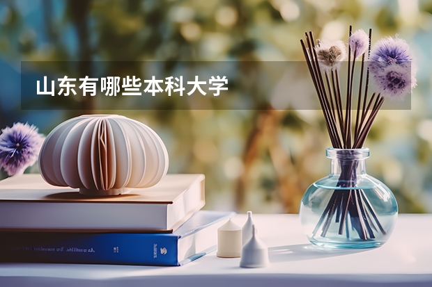 山东有哪些本科大学