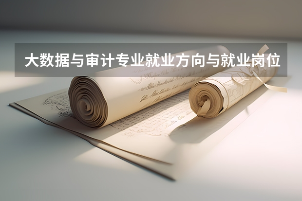 大数据与审计专业就业方向与就业岗位有哪些