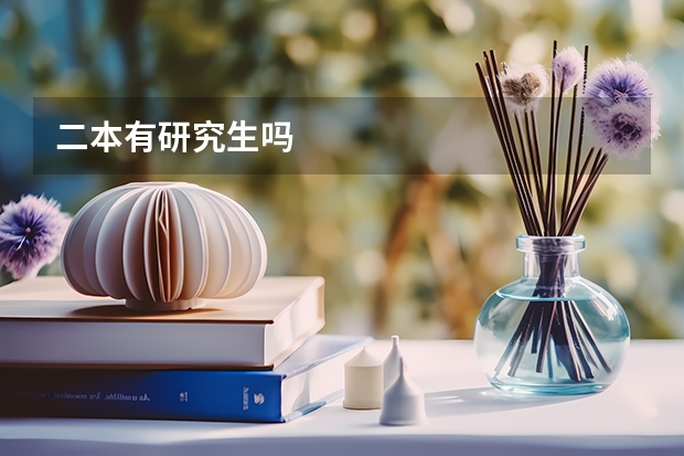 二本有研究生吗