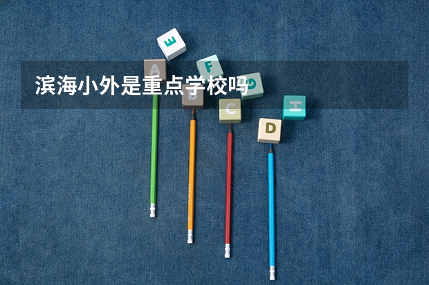 滨海小外是重点学校吗