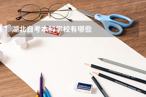 湖北自考本科学校有哪些
