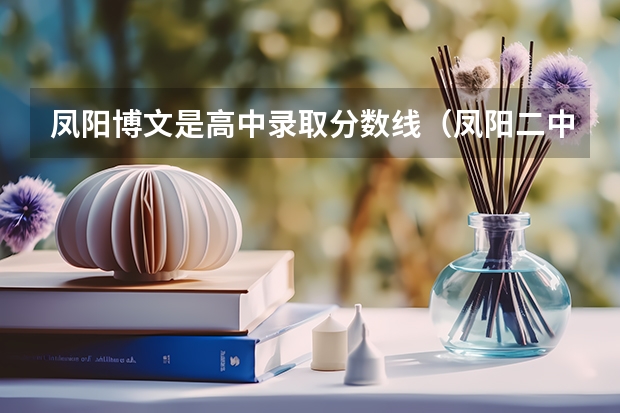凤阳博文是高中录取分数线（凤阳二中和博文中学比较）